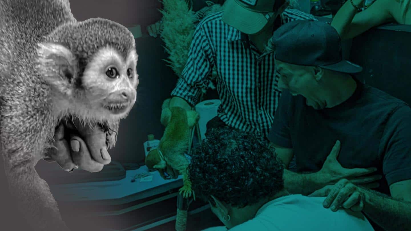 वेनेजुएला के शख्स ने बनवाया बंदर से टैटू, ऐसा करने वाला पहला इंसान बना