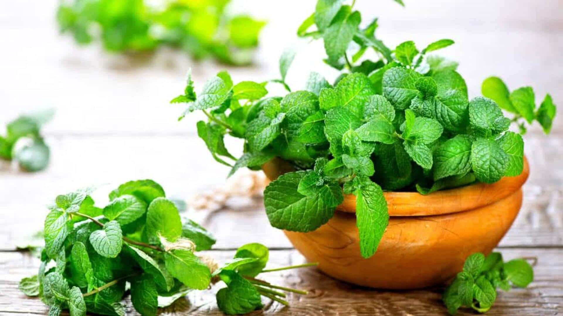 गमले में पुदीना उगाया है तो इन बातों का रखें ध्यान