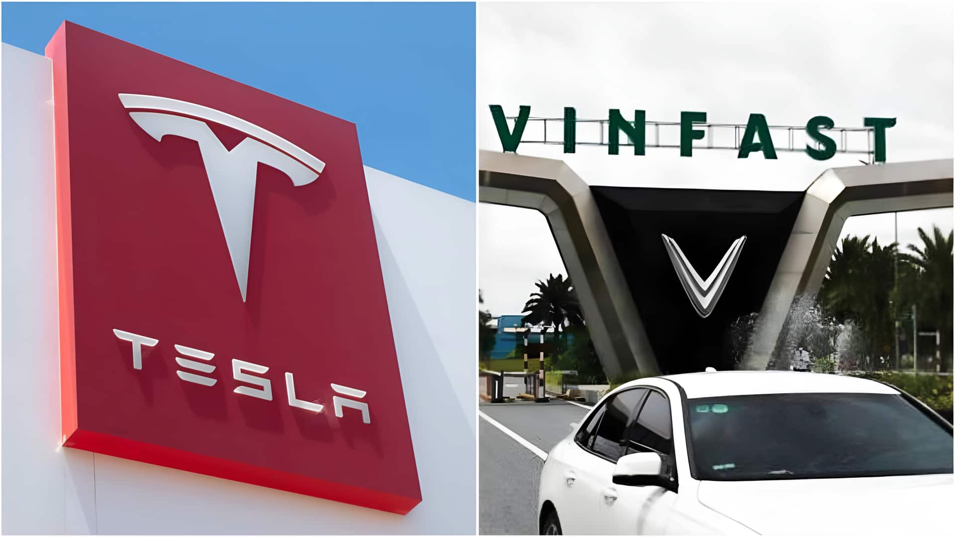 टेस्ला समेत इन विदेशी वाहन निर्माताओं ने साल 2025 में दी भारत में दस्तक 