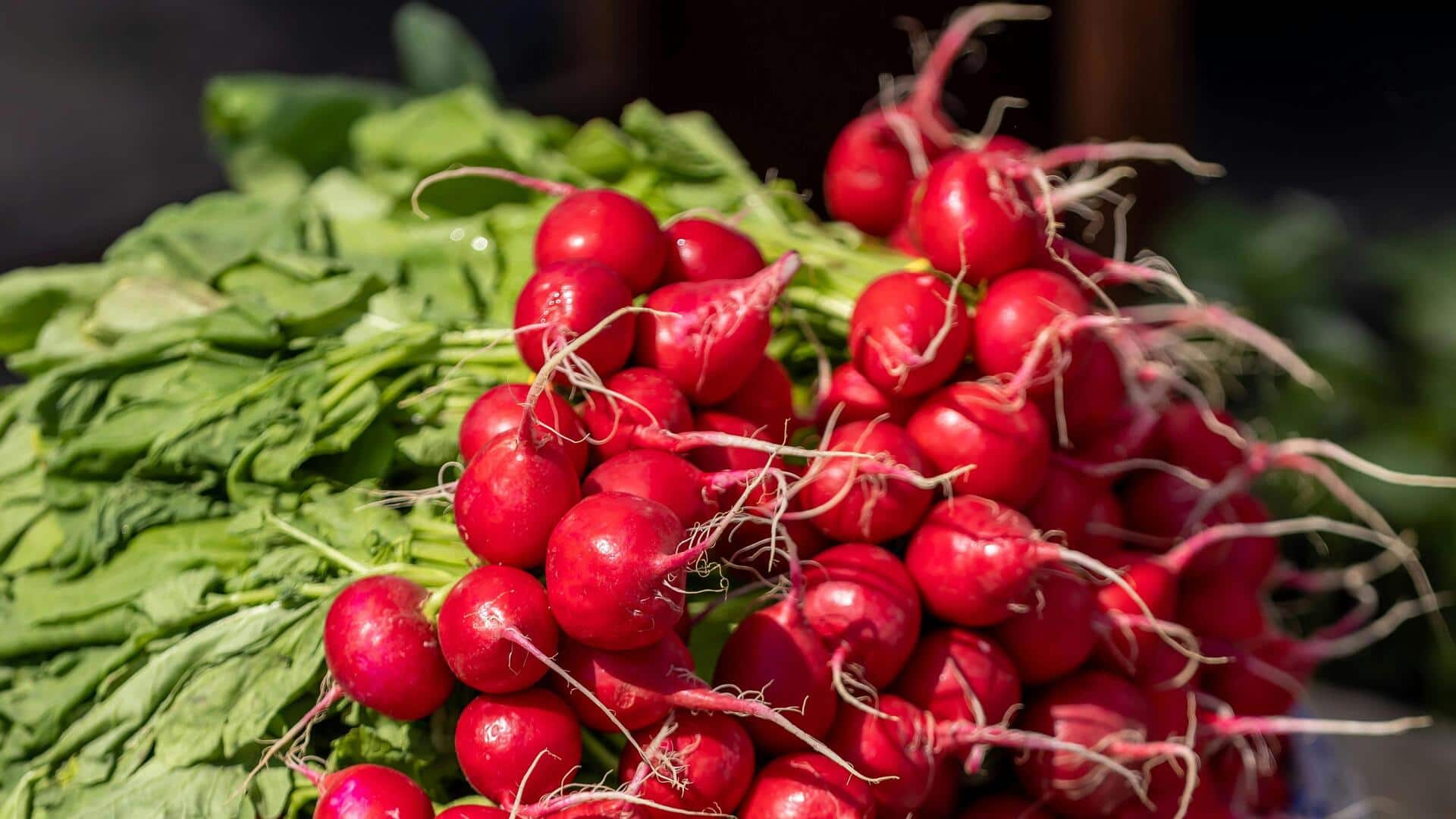 छोटे-छोटे स्थानों में आसानी से मूली उगाने के लिए अपनाएं ये 5 सुझाव, मिलेगी अच्छी फसल 