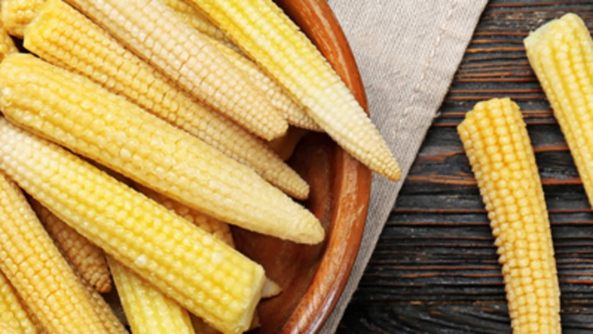 अपने बगीचे में बेबी कॉर्न उगाना चाहते हैं? जानिए तरीका