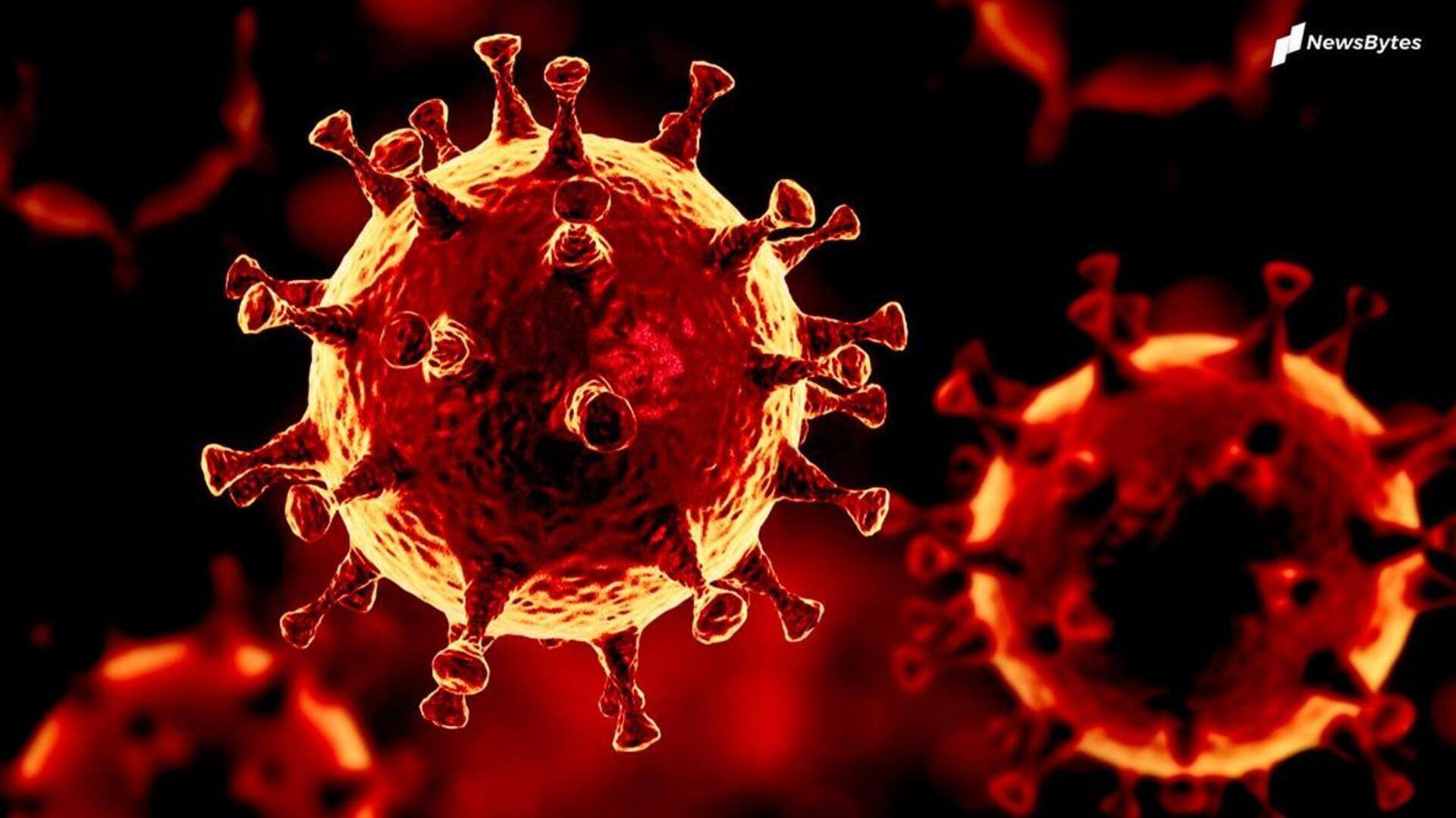 कोरोना वायरस: बीते 24 घंटे में सामने आए 743 नए मामले, 225 दिनों में सबसे ज्यादा 