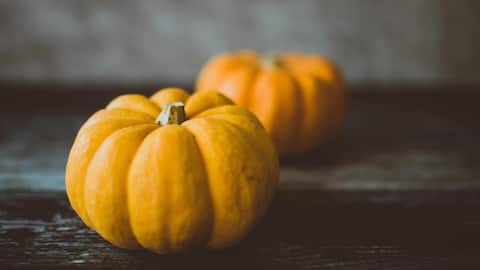 घर के बगीचे में उगाना चाहते हैं कददू? इन बातों का जरूर रखें ध्यान