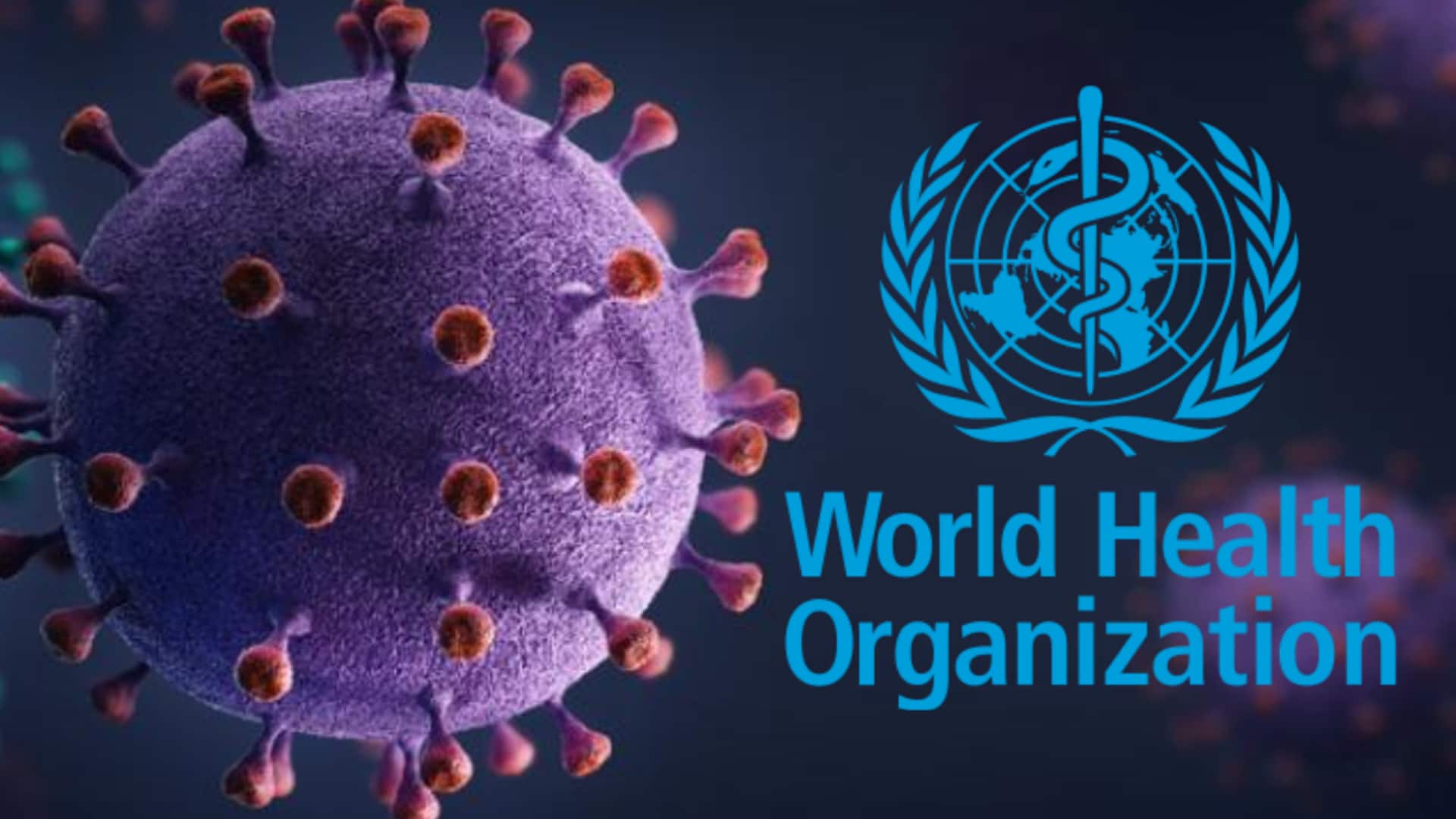 भारत में निपाह वायरस के मामले सामने आने पर WHO बोला- यात्रा प्रतिबंधों की जरूरत नहीं 