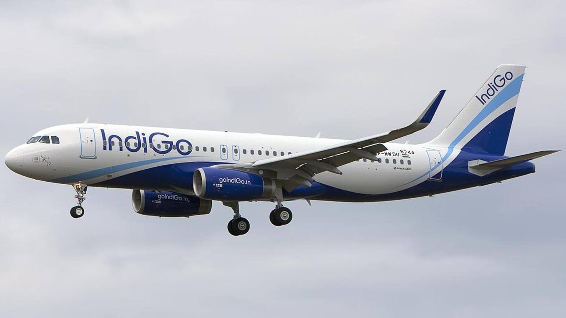 इंडिगो की फ्लाइट में नशे में धुत यात्री ने की एयर होस्टेस से छेड़छाड़, गिरफ्तार