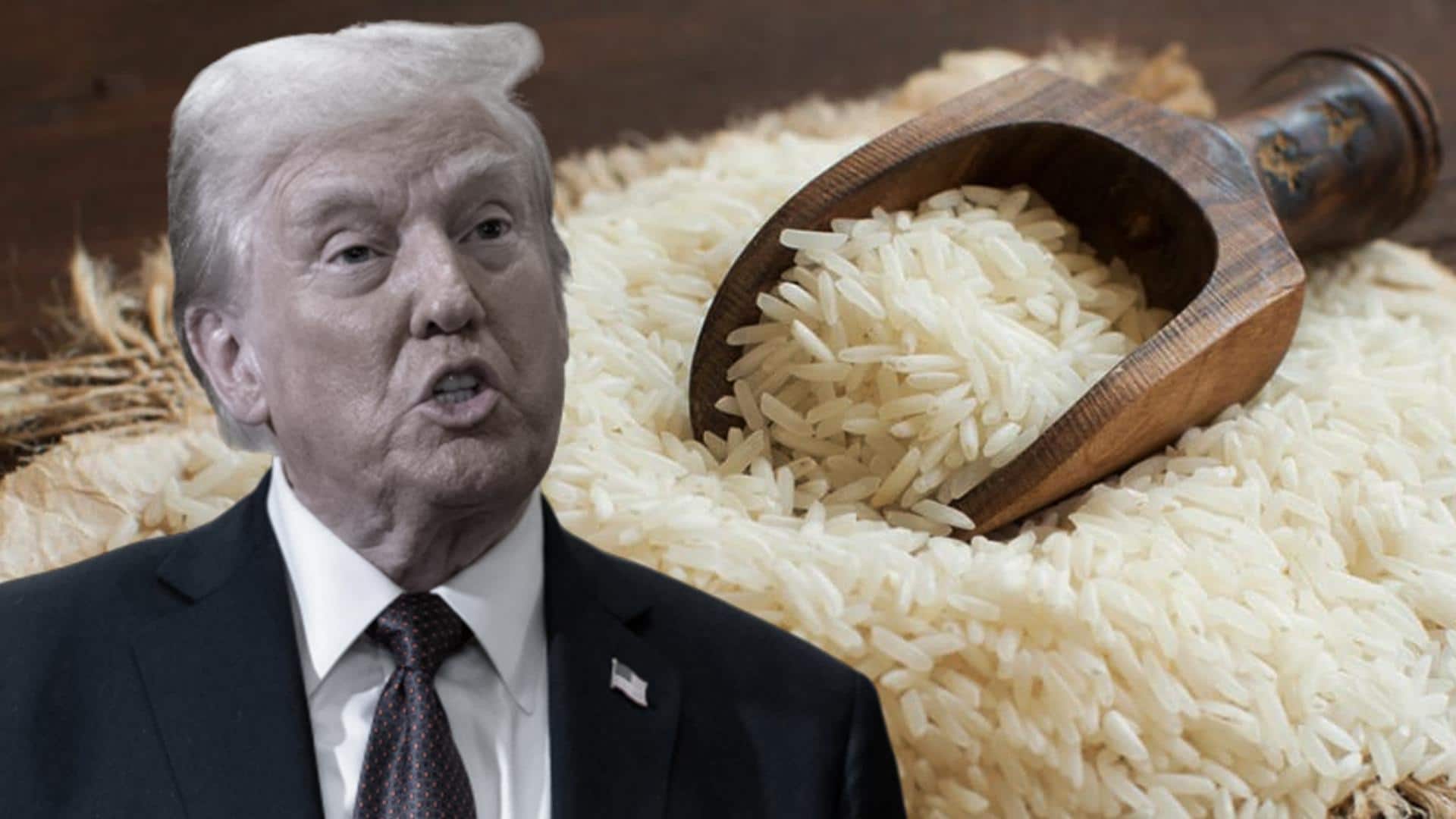 ट्रंप की भारतीय चावल आयात पर टैरिफ की धमकी के बाद चावल के शेयरों में गिरावट