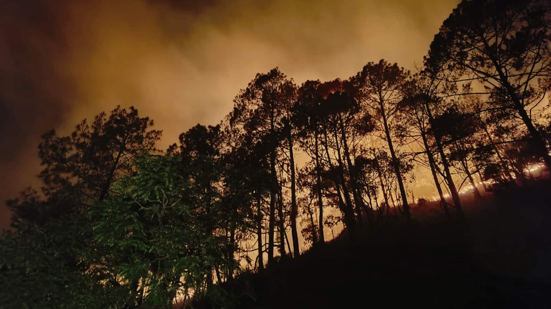 #NewsBytesExplainer: उत्तराखंड के जंगलों में कैसे लगी आग और तेजी से क्यों फैल रही है?