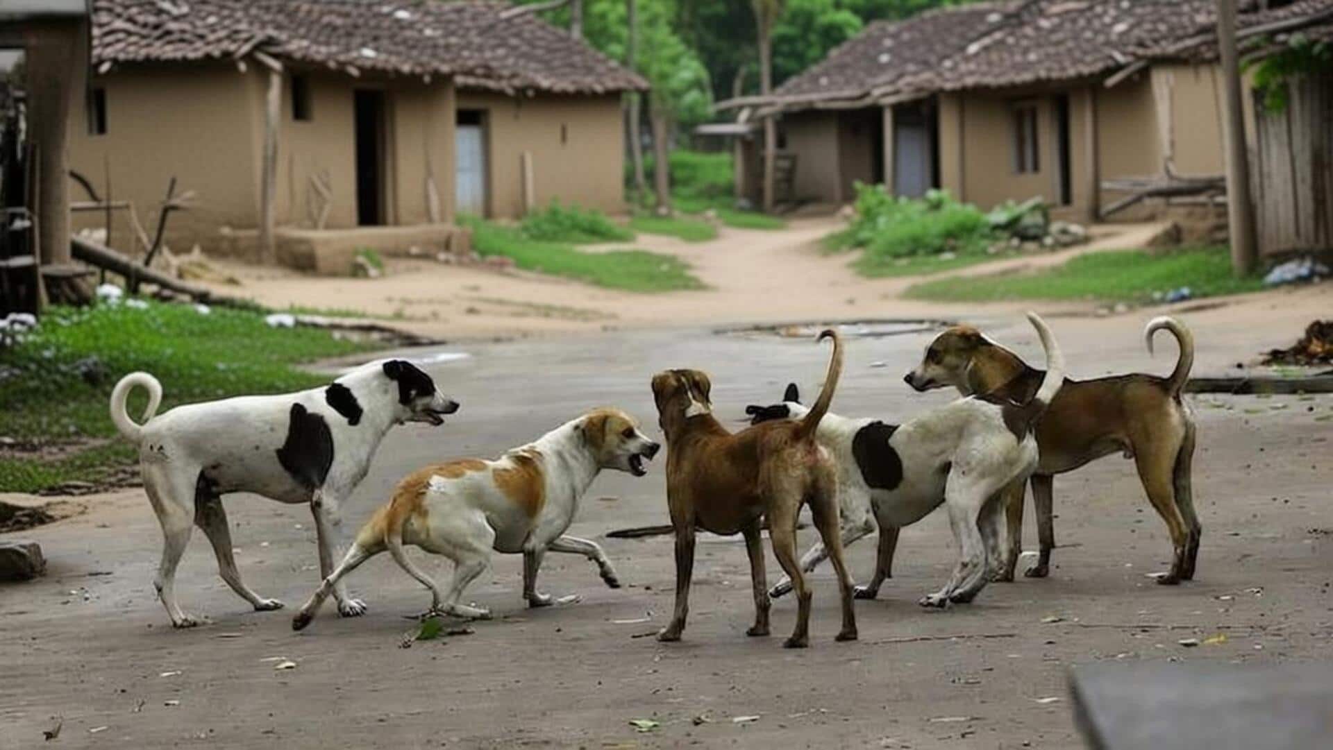 तेलंगाना: कामारेड्डी में पंचायत चुनाव का वादा पूरा करने के लिए 500 कुत्तों की सामूहिक हत्या