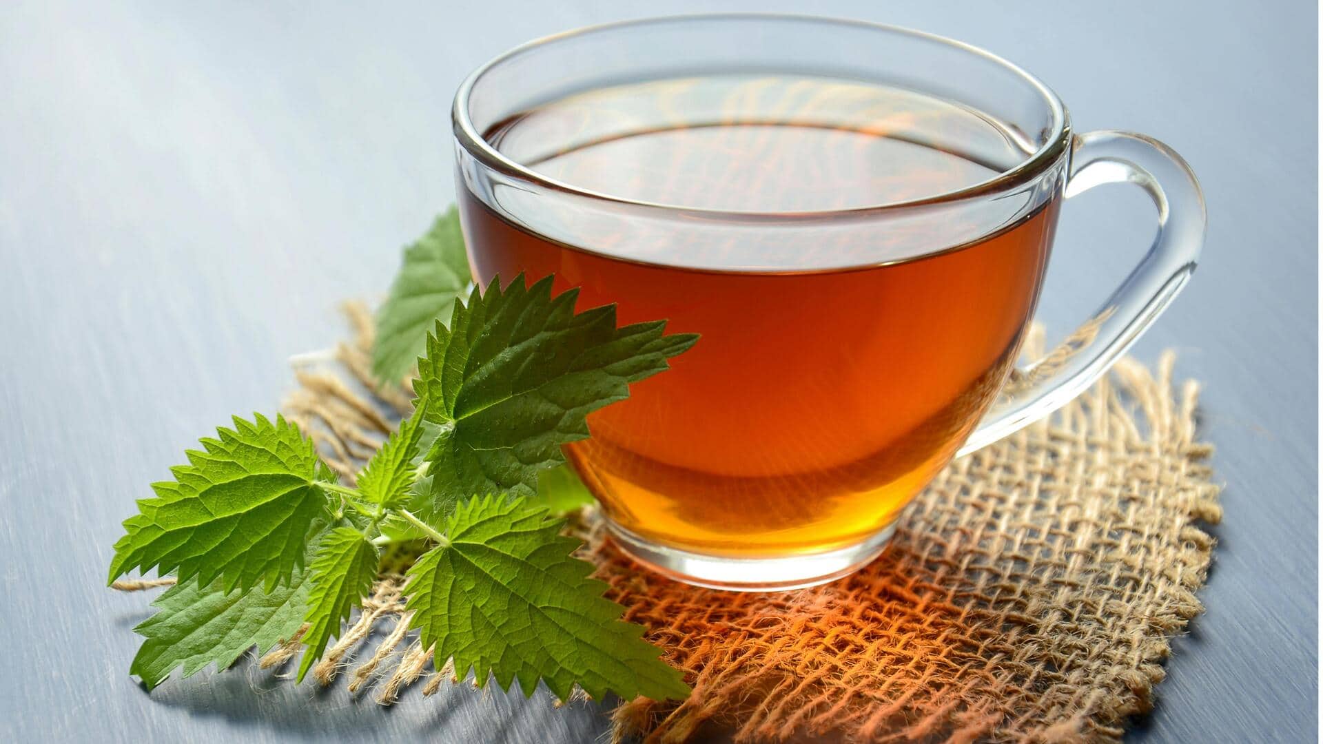 सिरदर्द से परेशान हैं? इन 5 पेय को डाइट में करें शामिल, मिलेगा आराम सिरदर्द से परेशान हैं? इन 5 पेय को डाइट में करें शामिल, मिलेगा आराम