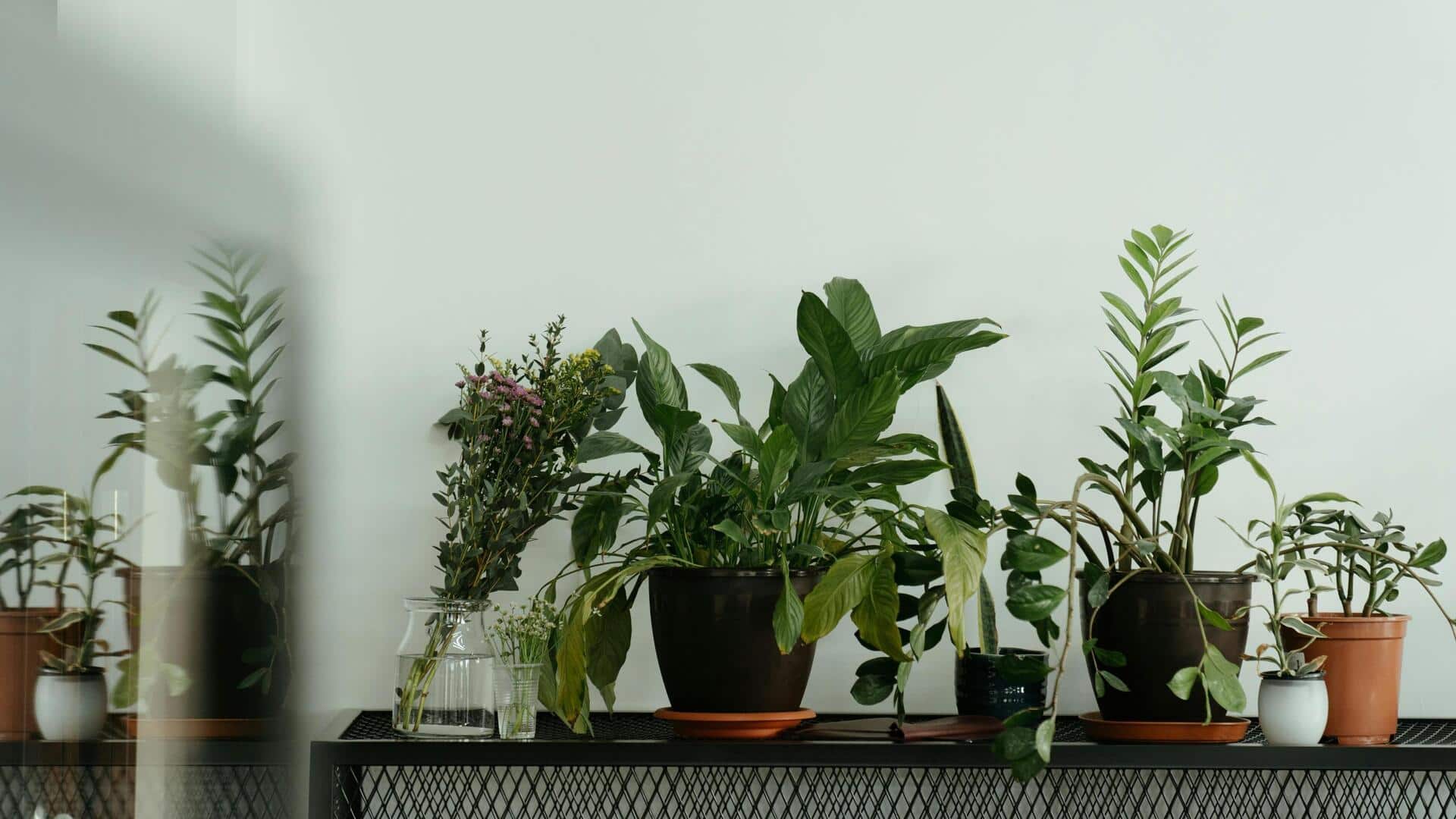 घर पर आसानी से किचन गार्डन शुरू करने के लिए अपनाएं ये 5 सरल कदम