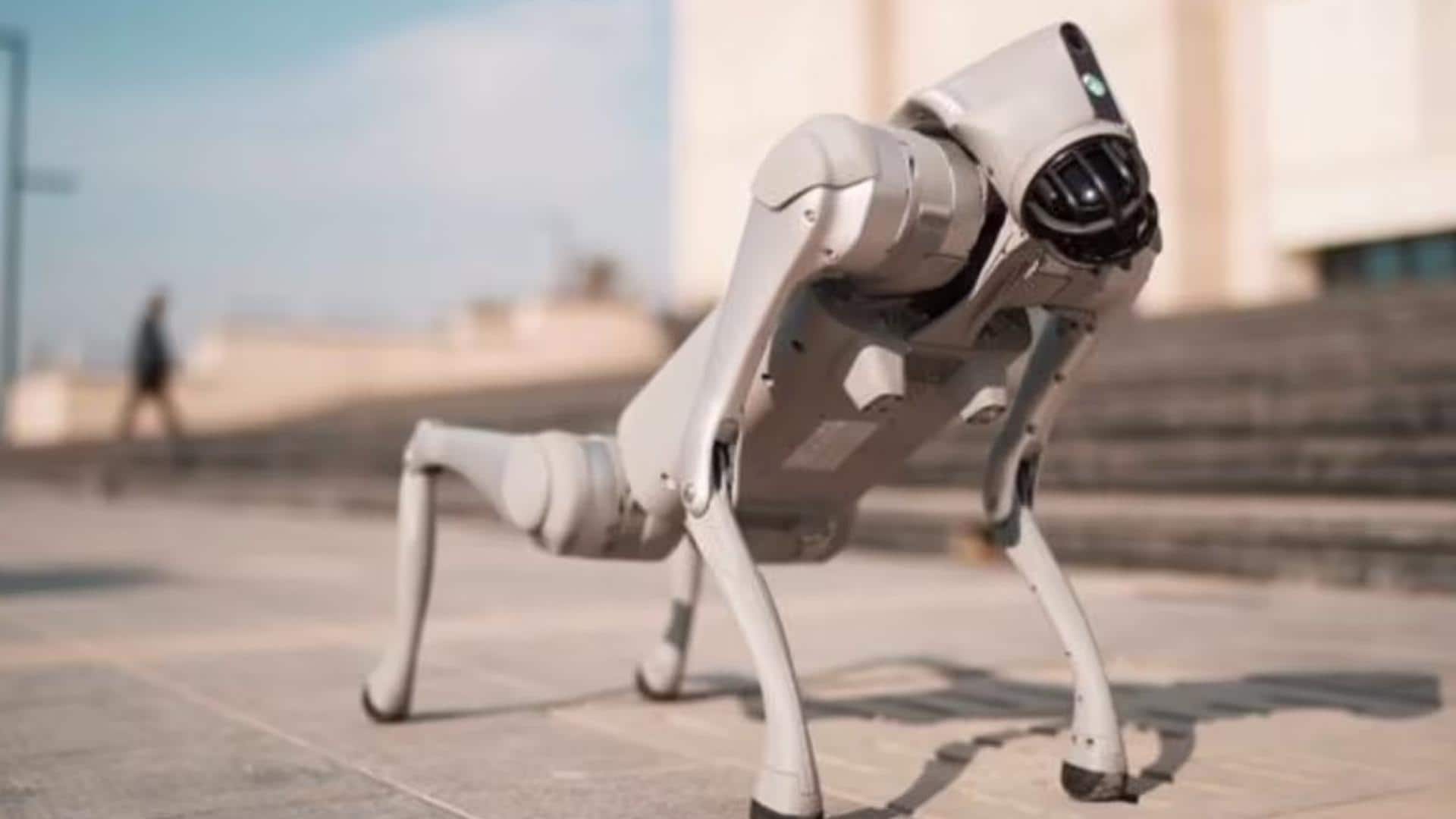 रोबोडॉग विवाद के बाद AI इंपैक्ट समिट से गलगोटिया यूनिवर्सिटी को किया गया बाहर