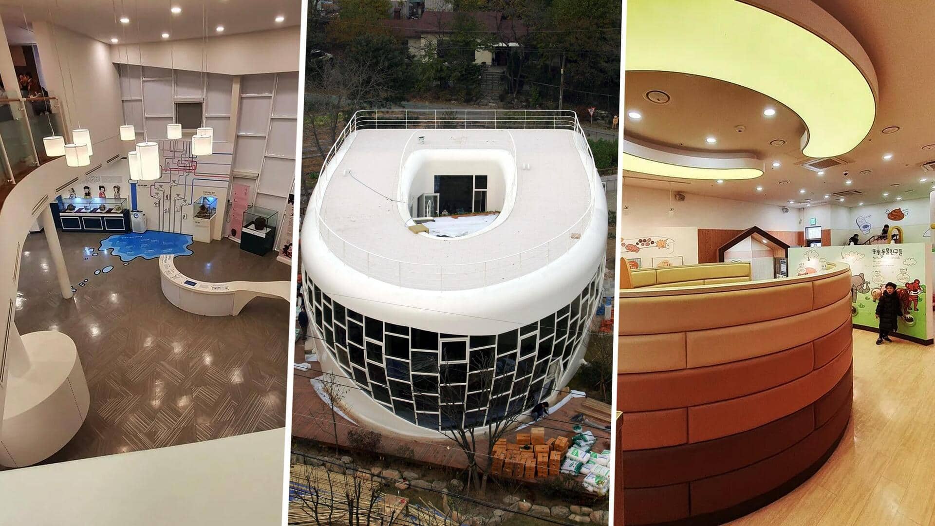दक्षिण-कोरिया: व्यक्ति ने खुद के लिए बनवाया टॉयलेट के डिजाइन वाला घर, जानिए कारण
