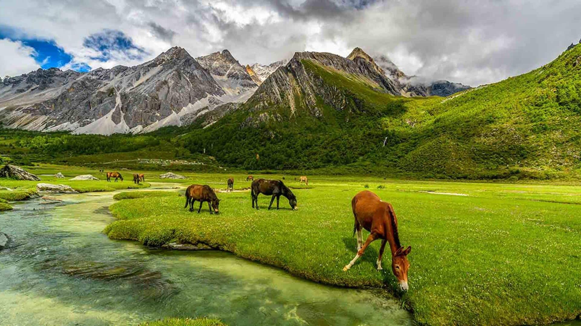 अकेले यात्रा करने के लिए बेहतरीन हैं ये पहाड़ी जगहें, एक बार जरूर जाएं