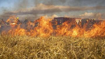 उत्तर प्रदेश: शॉर्ट सर्किट से 8 बीघा खेत की फसल जली, किसान को आया हार्ट अटैक
