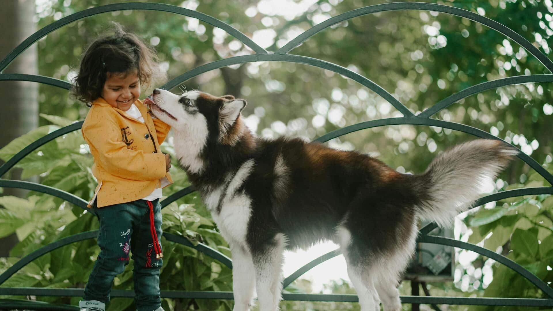 जानवरों के साथ बड़े होने के 5 फायदे, जानिए कैसे है ये आदत लाभदायक