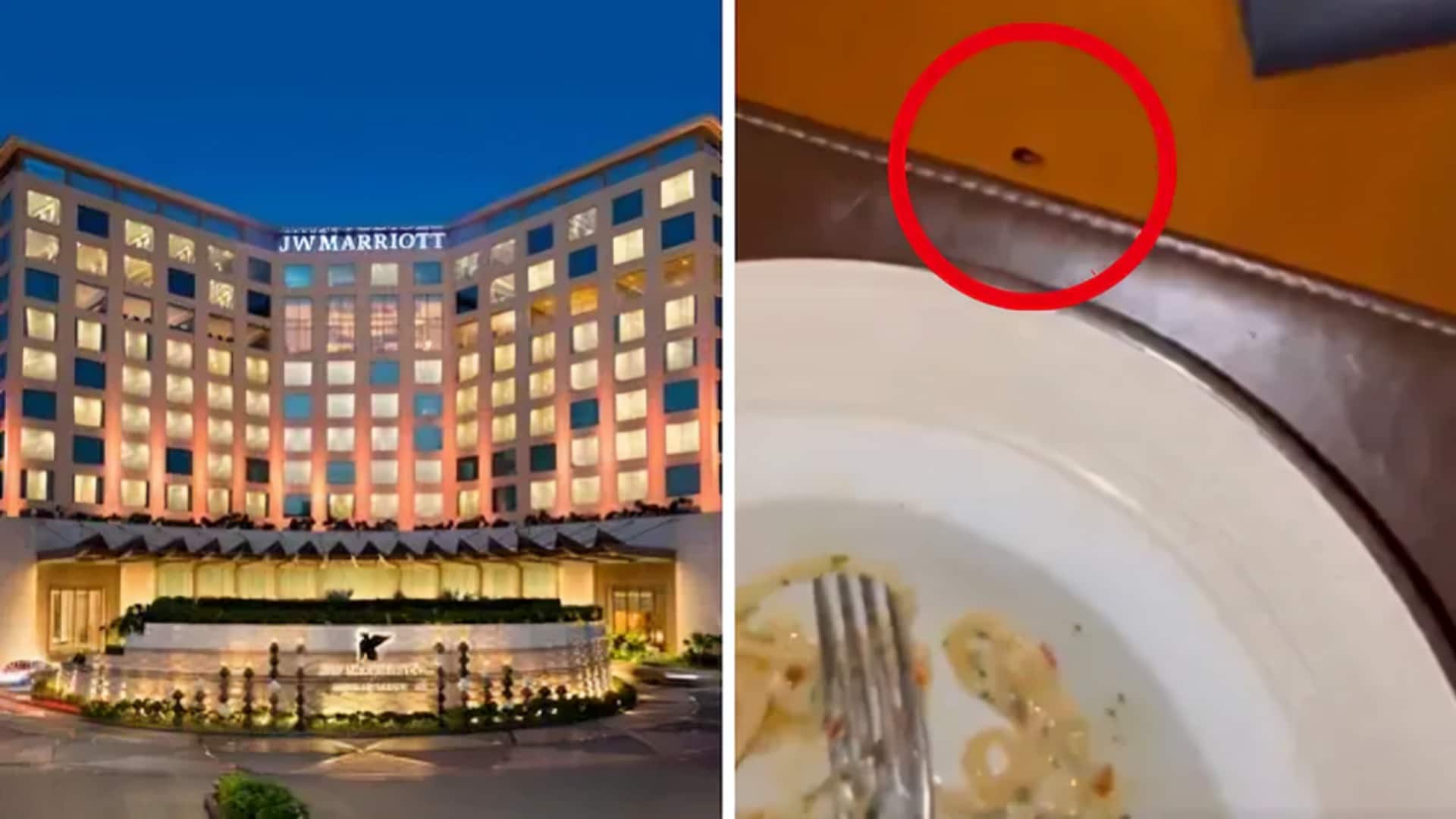 मुंबई में 5-सितारा जेडब्ल्यू मैरियट होटल में खाने की मेज पर टहलता दिखा कॉकरोच