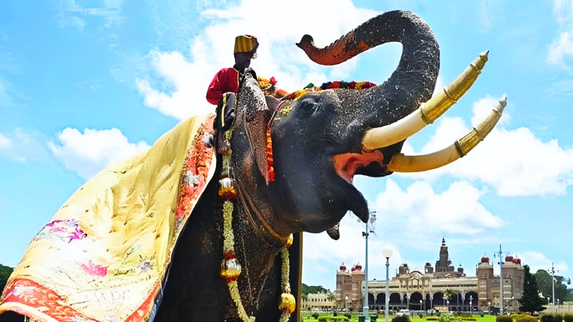 कर्नाटक: वन विभाग की लापरवाही, बुजुर्ग हाथी को जंगली हाथी से भिड़ाया; मौत, स्मारक बनेगा 