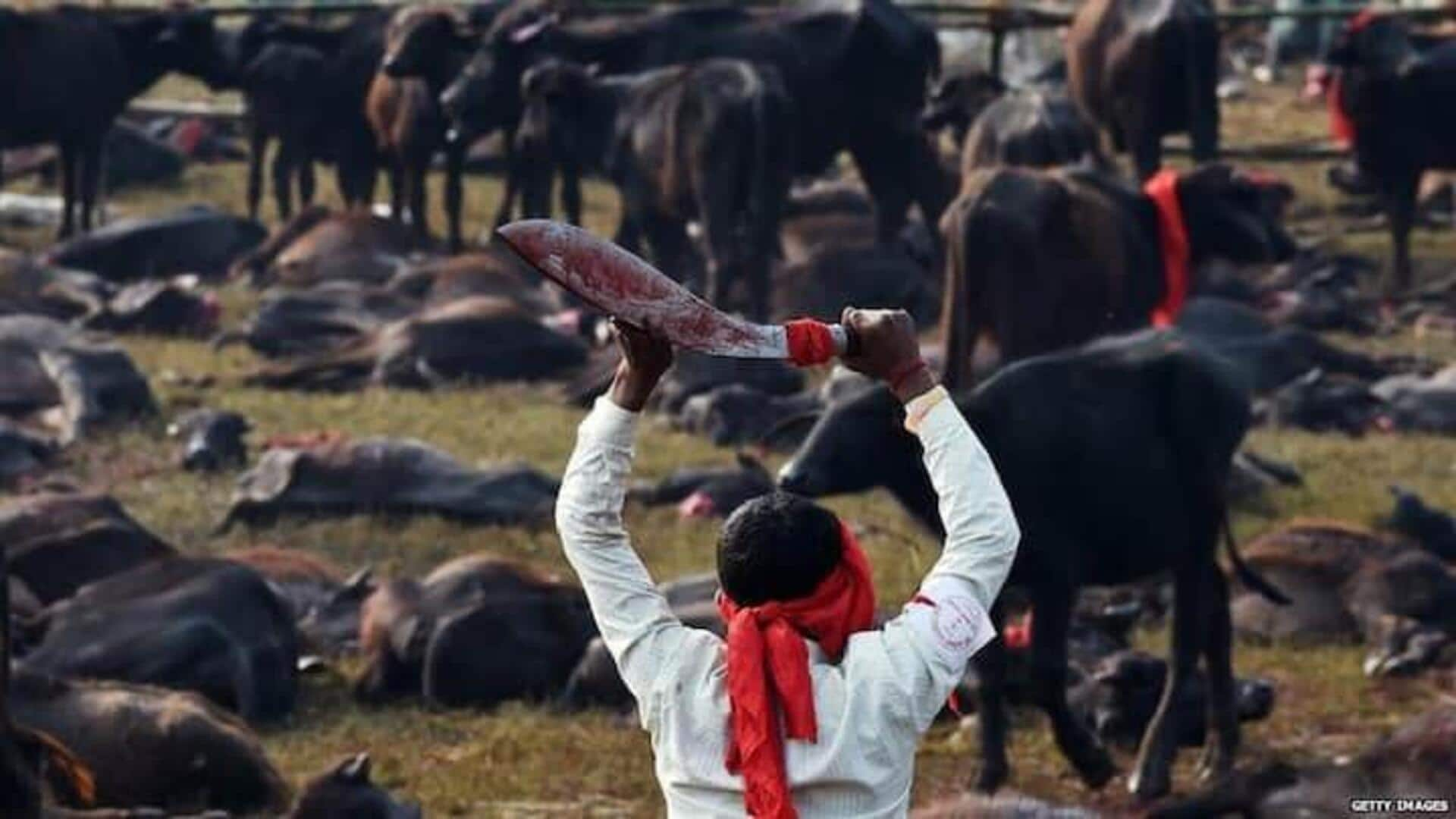 नेपाल का गढ़ीमाई महोत्सव क्या है, जिसे दुनिया का सबसे खूनी उत्सव माना जाता है?