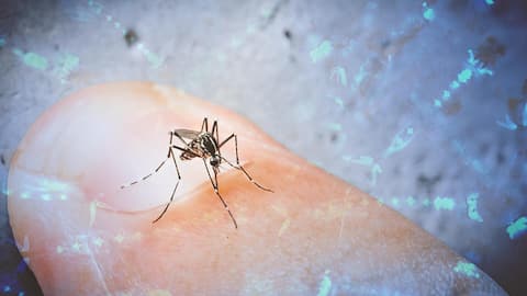संक्रामक रोगों से लेकर डेंगू तक, 2023 में सुर्खियों में रहीं ये 5 बीमारियां  