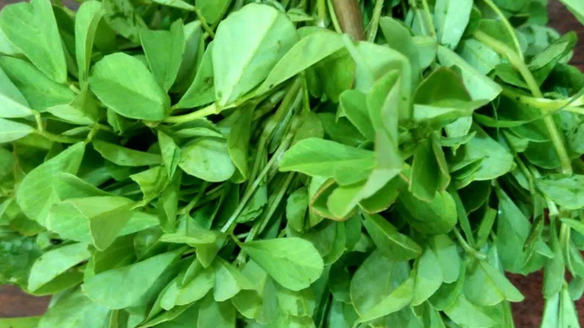 बालकनी में 20 दिन के अंदर ताजा मेथी उगाना चाहते हैं? अपनाएं ये तरीके