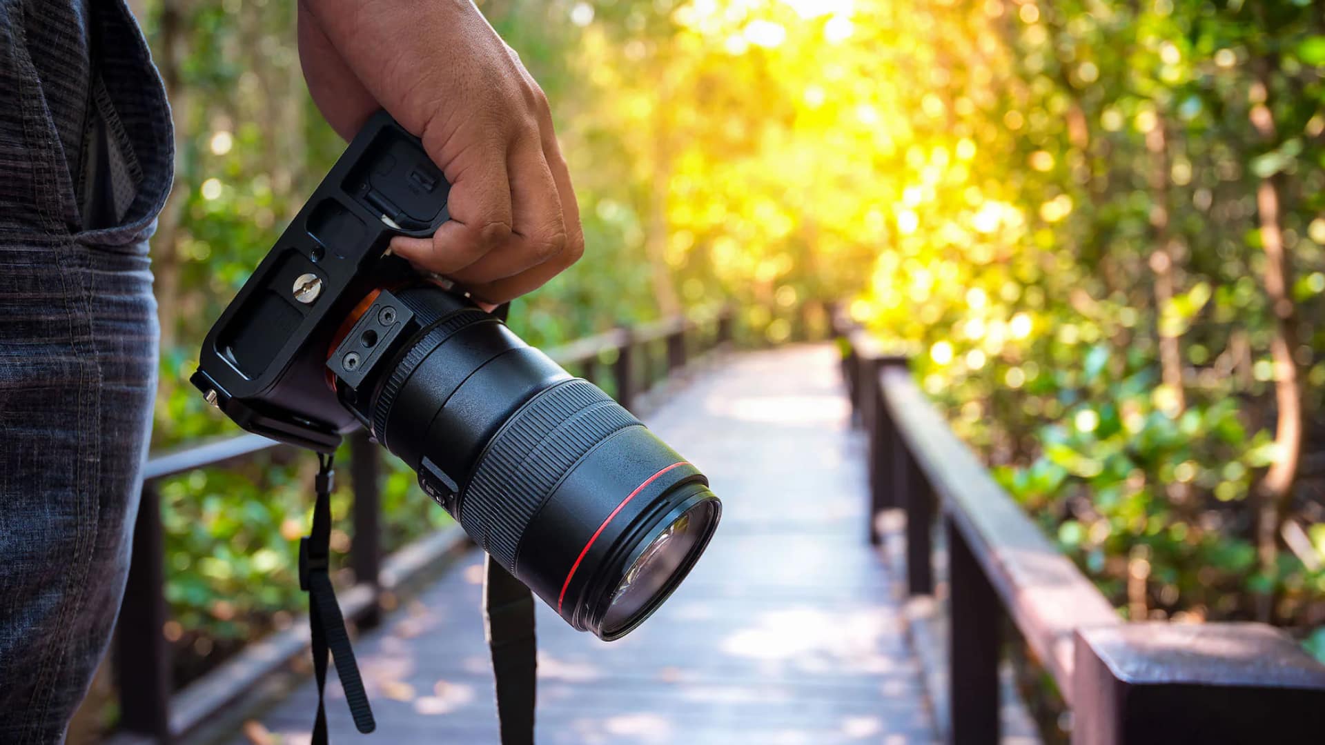 फोटोग्राफी के लिए जरूरी है अच्छी रोशनी, इन AI टूल्स की लें मदद