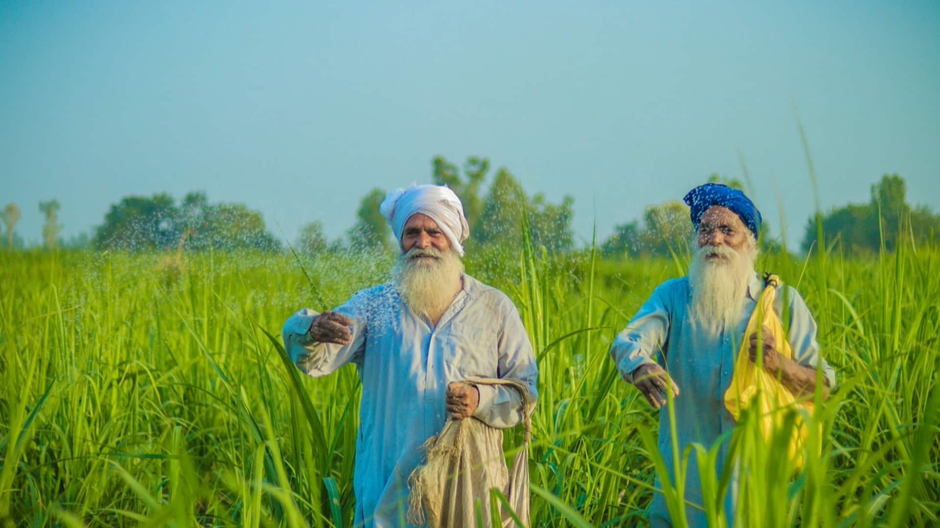 पंजाब के किसान देश में सबसे अमीर, किस राज्य में बुरा है अन्नदाताओं का हाल? 