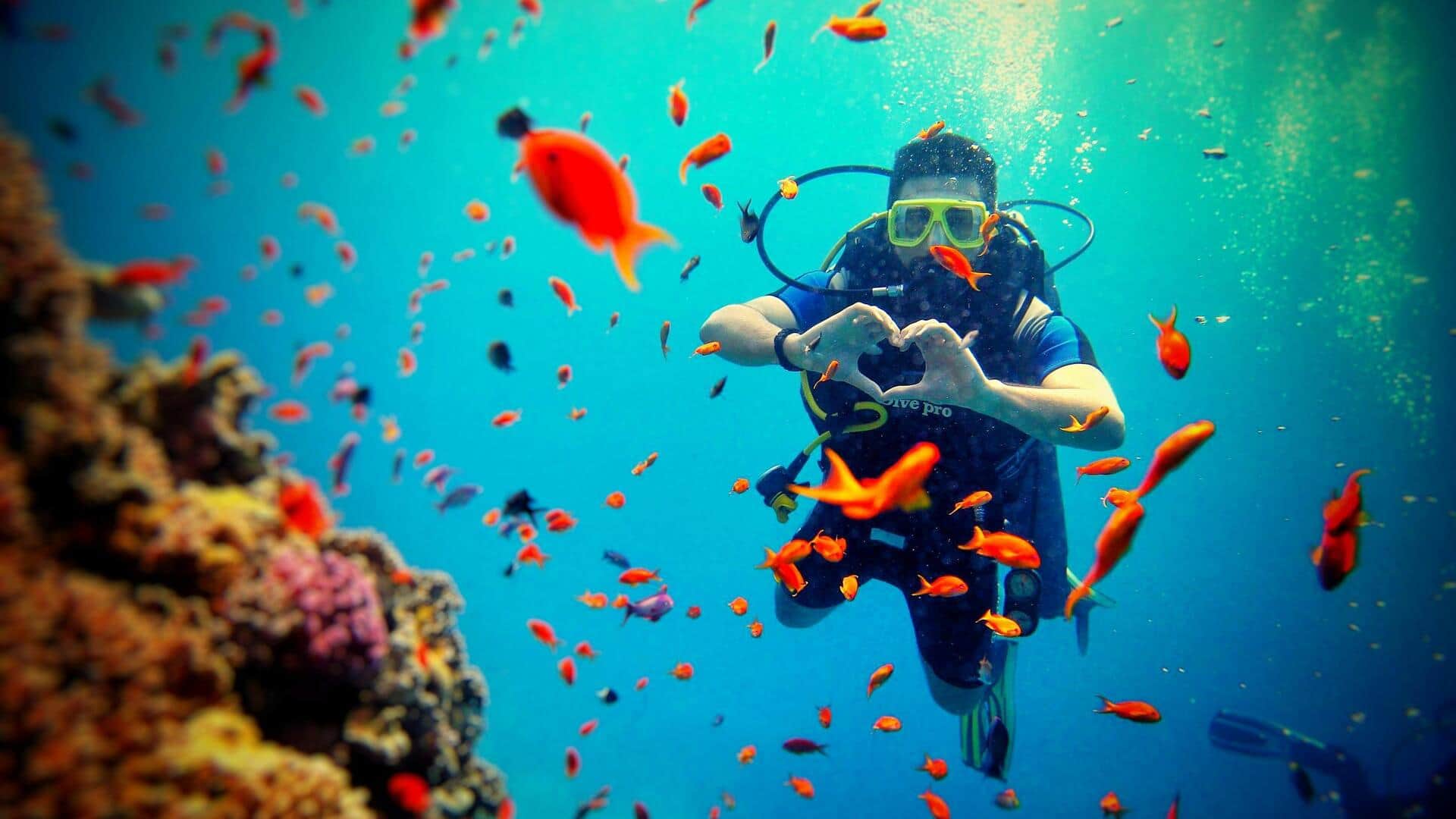 अंडमान और निकोबार के अलावा भारत में हैं ये 5 बेहतरीन स्कूबा डाइविंग स्थल