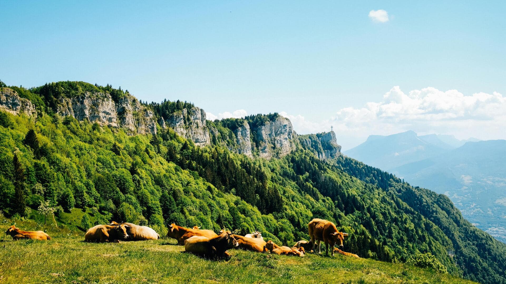 स्विट्जरलैंड: जुरा पर्वत की इन 5 अनदेखी ट्रेल्स पर जाएं, यात्रा बन जाएगी यादगार