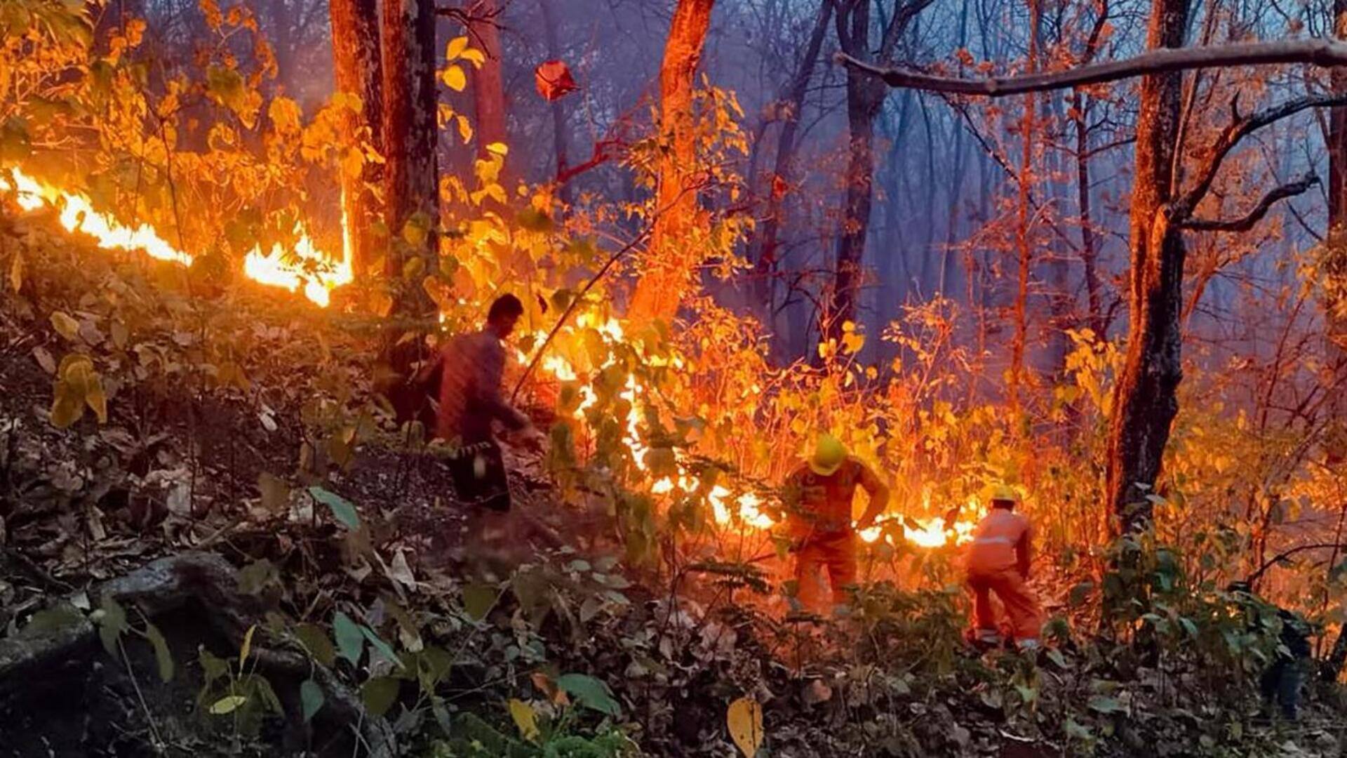 उत्तराखंड: जंगल की आग पर सुप्रीम कोर्ट सख्त, केंद्र और राज्य सरकार से पूछे तीखे सवाल
