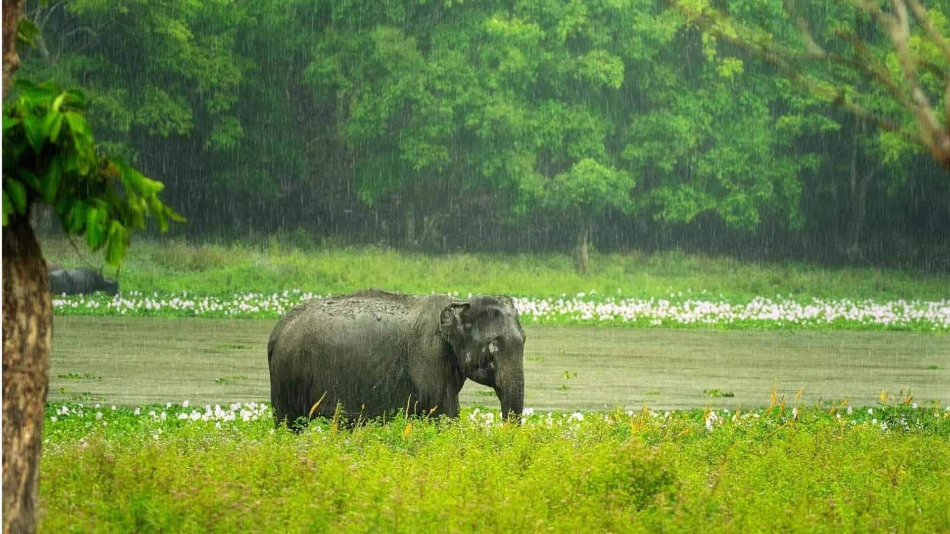 मानसून में सबसे सुंदर लगते हैं ये यूनेस्को विश्व धरोहर स्थल, यात्रा की बनाएं योजना 