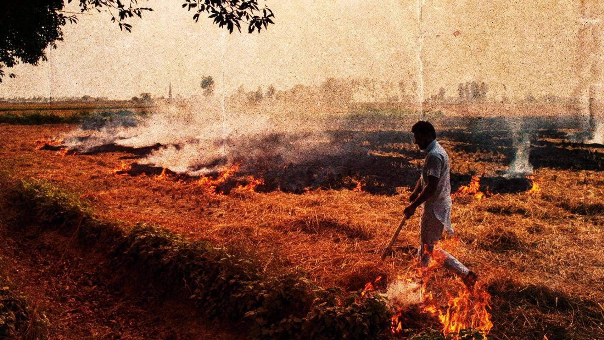 पराली जलाना: लापरवाह अधिकारियों के खिलाफ होगी कानूनी कार्रवाई, CAQM ने दिया अधिकार