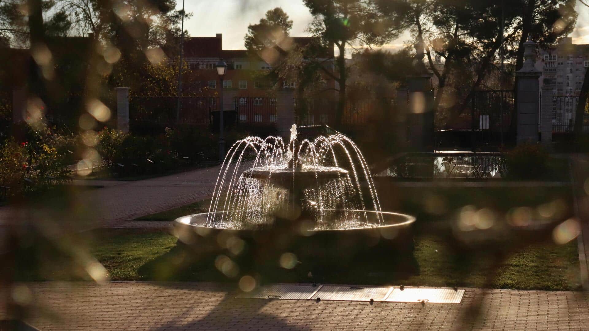 घर में लगाएं पानी के फव्वारे, जानिए इसके 5 फायदे