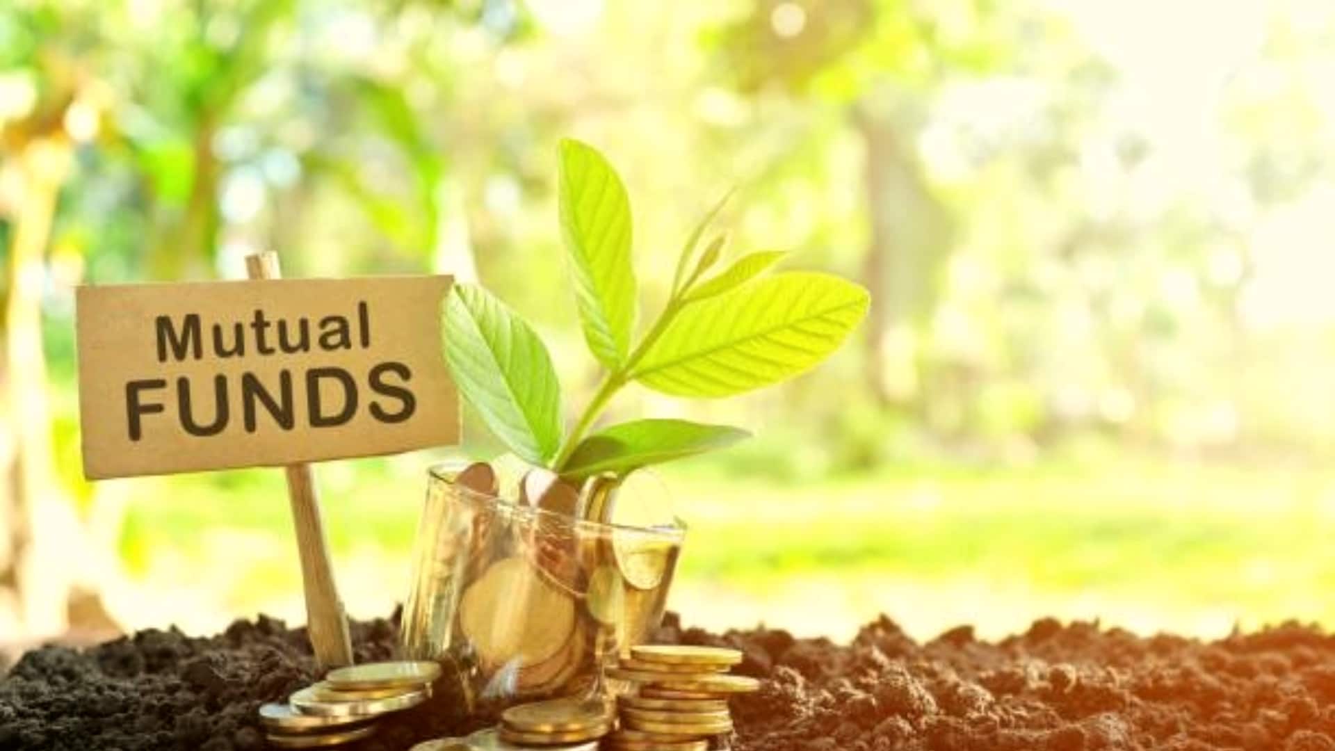 म्यूचुअल फंड के लिए कैसे चैक करें KYC स्टेटस? जानिए अपडेट करने का तरीका 