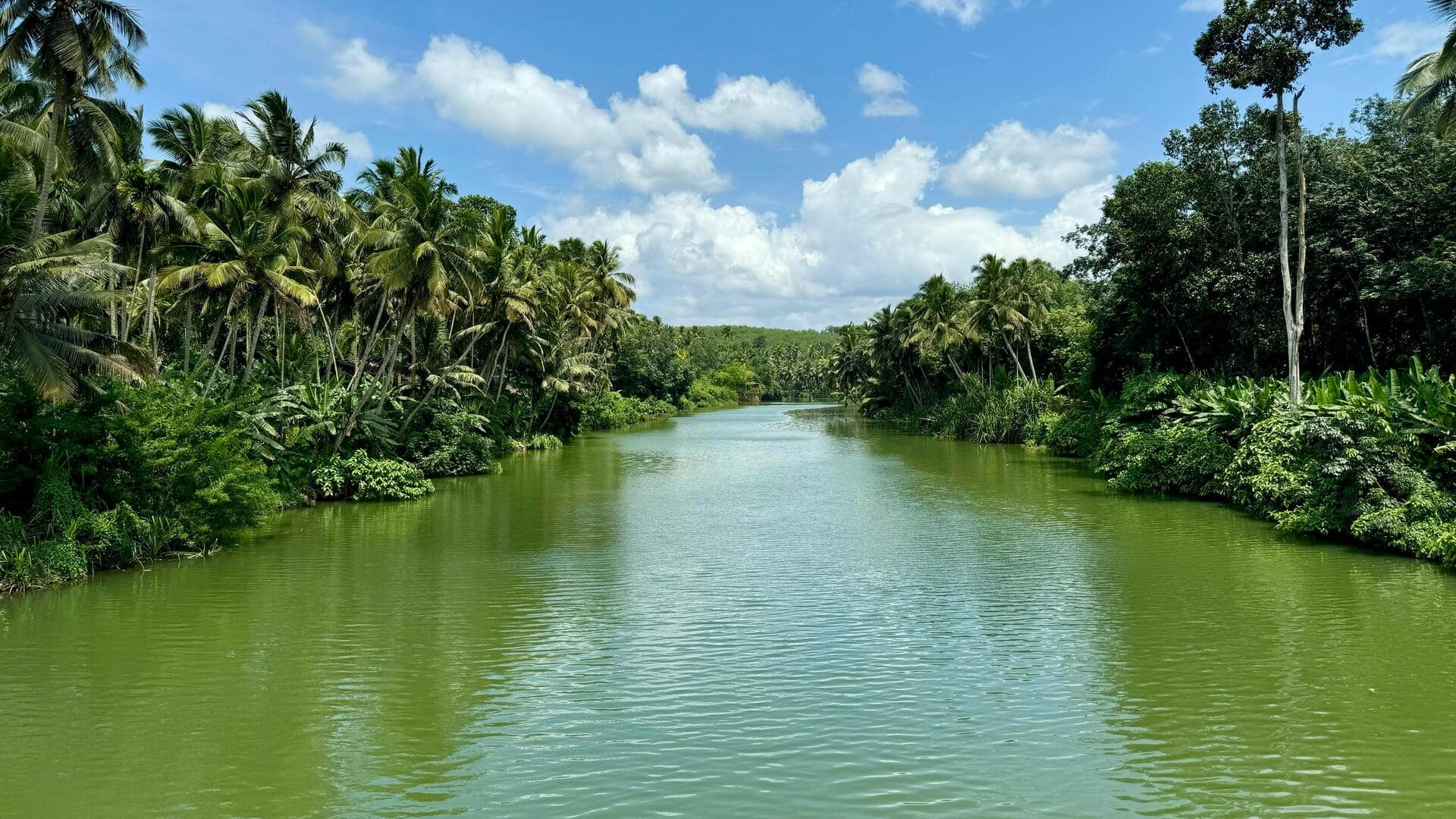 नदी के पास रहने से जीवन में आ सकते हैं ये 5 बदलाव