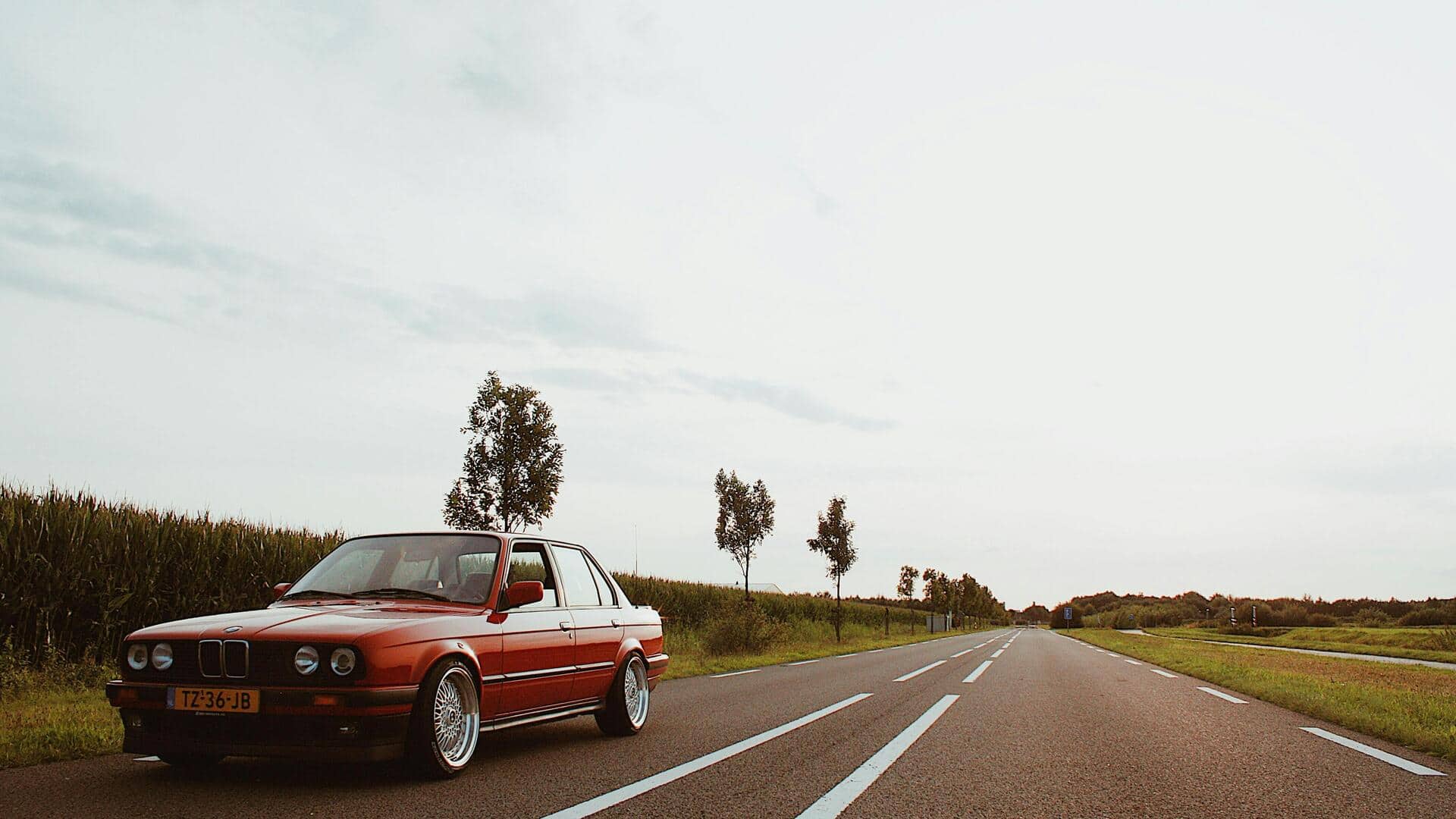 रोड ट्रिप पर जा रहे हैं तो इन 5 बातों का रखें ध्यान, यात्रा होगी मजेदार