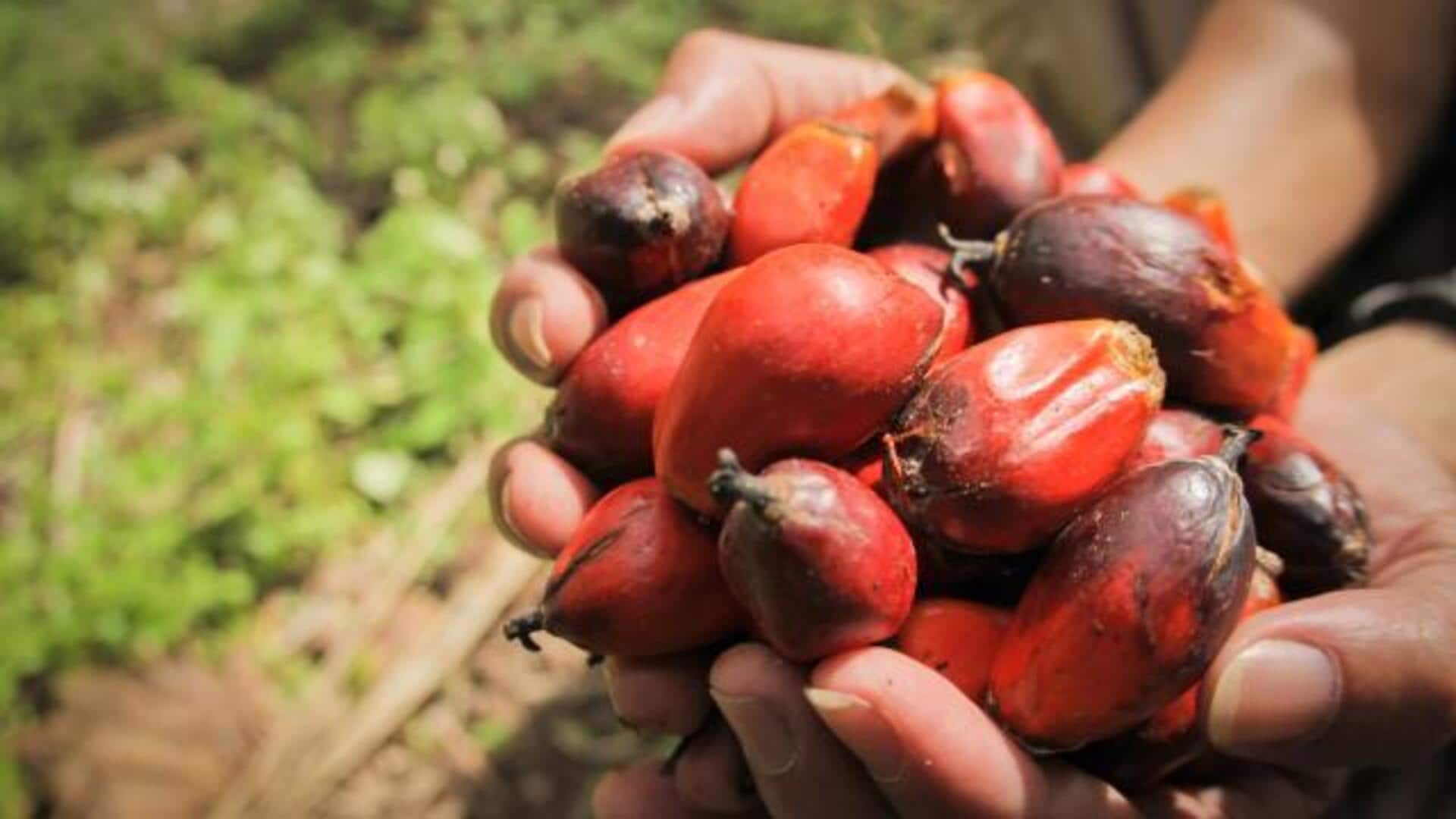 ताड़ फल से बनाए जा सकते हैं ये 5 स्वादिष्ट व्यंजन, जानिए रेसिपी