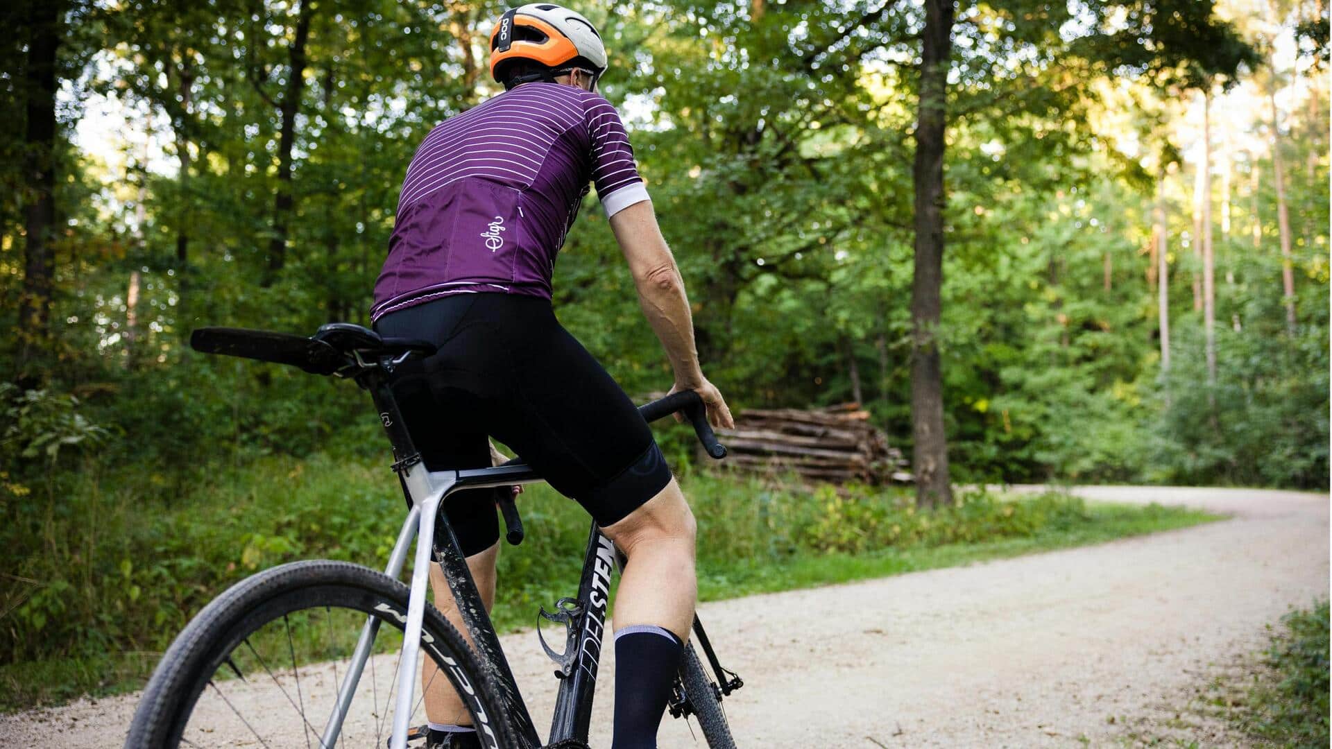 क्यूबेक के इन 5 शानदार जंगलों में लें साइकिलिंग का आनंद, यात्रा बन जाएगी यादगार 