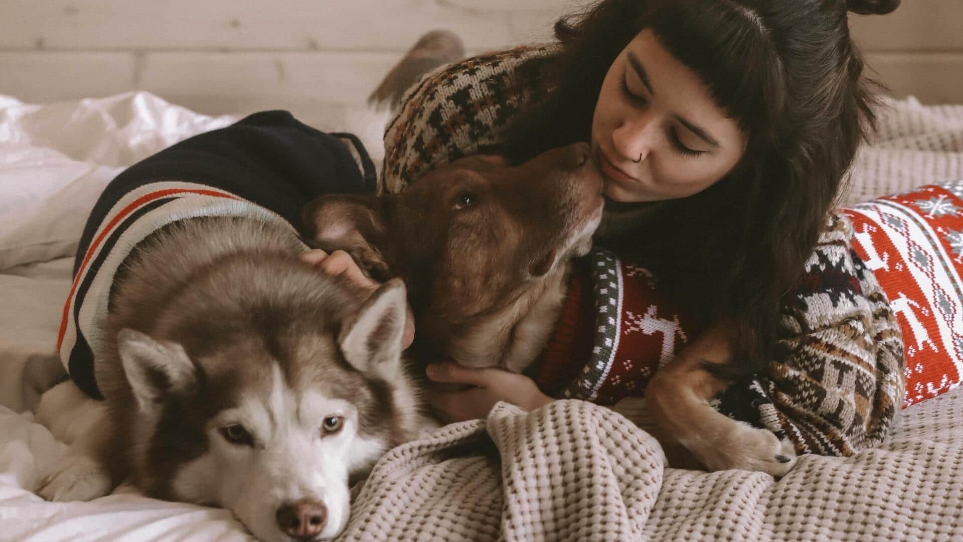 अकेले रहते हैं और पालतू जानवर रखा हुआ है? जानिए उसकी देखभाल करने का सही तरीका