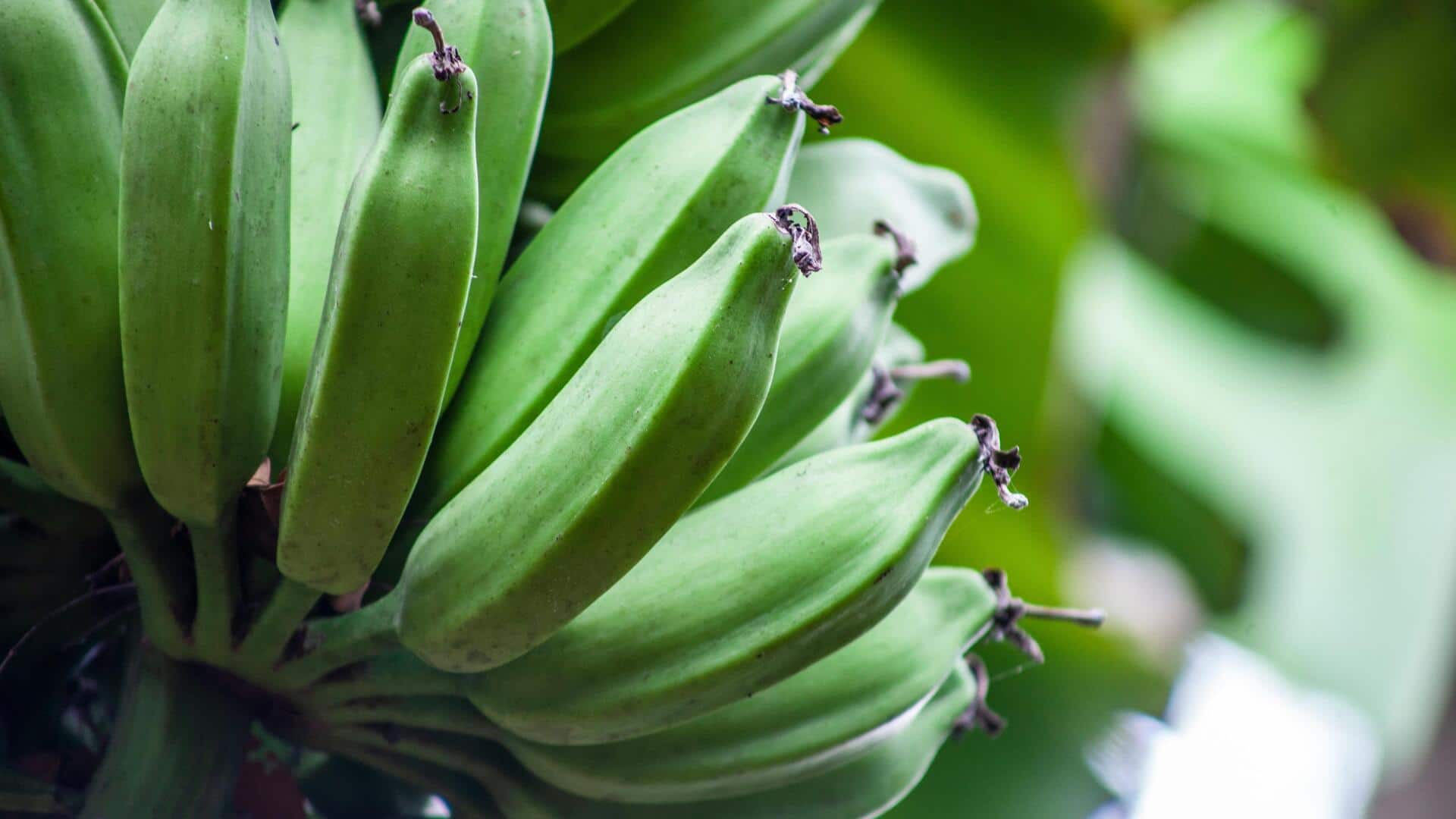 कच्चे केले से बनाए जा सकते हैं ये 5 स्वादिष्ट व्यंजन, आसान होती है इनकी रेसिपी