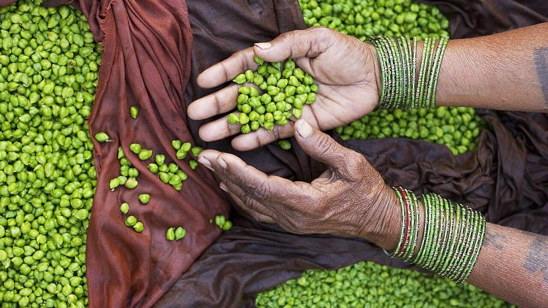 हरा चना होता है पोषण का भंडार, इससे बनाए जा सकते हैं ये लजीज पकवान