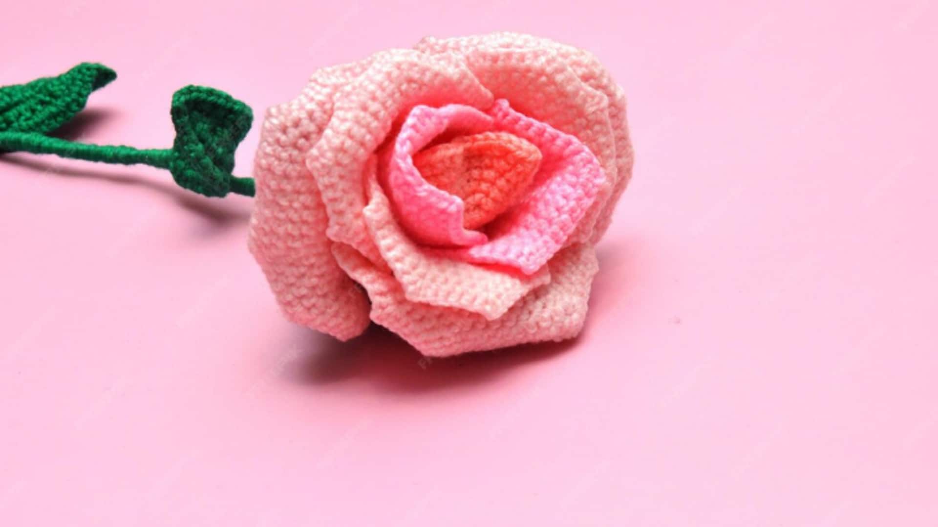 क्रोशे तकनीक से आप बना सकते हैं बेहद खूबसूरत गुलाब के फूल, जानिए कैसे