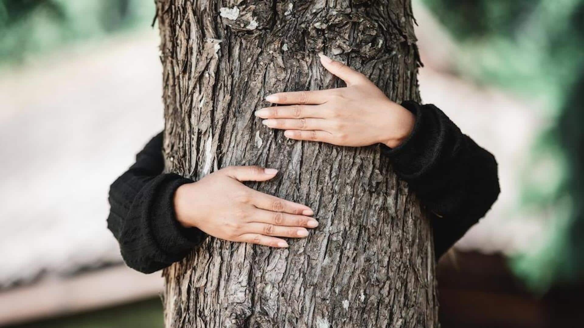 महिला ने 16 घंटे तक पेड़ को गले लगाकर बनाया विश्व रिकॉर्ड, बोली- इसने मुझे चुना