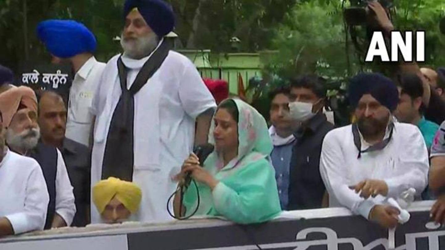 SAD ने अनुमति नहीं मिलने के बाद भी निकाला मार्च SAD ने अनुमति नहीं मिलने के बाद भी निकाला मार्च