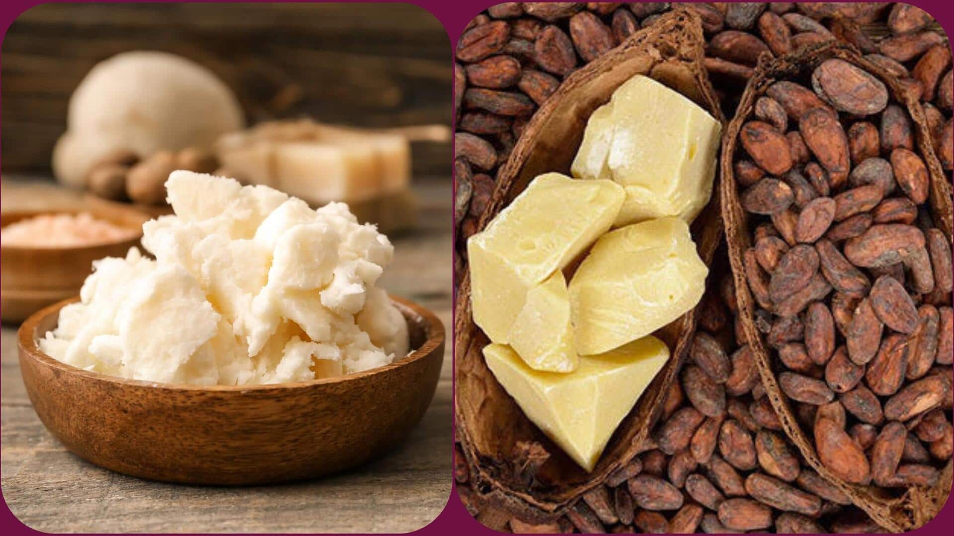 शिया बनाम कोकोआ बटर: दोनों में से किसका इस्तेमाल त्वचा के लिए है बेहतर?