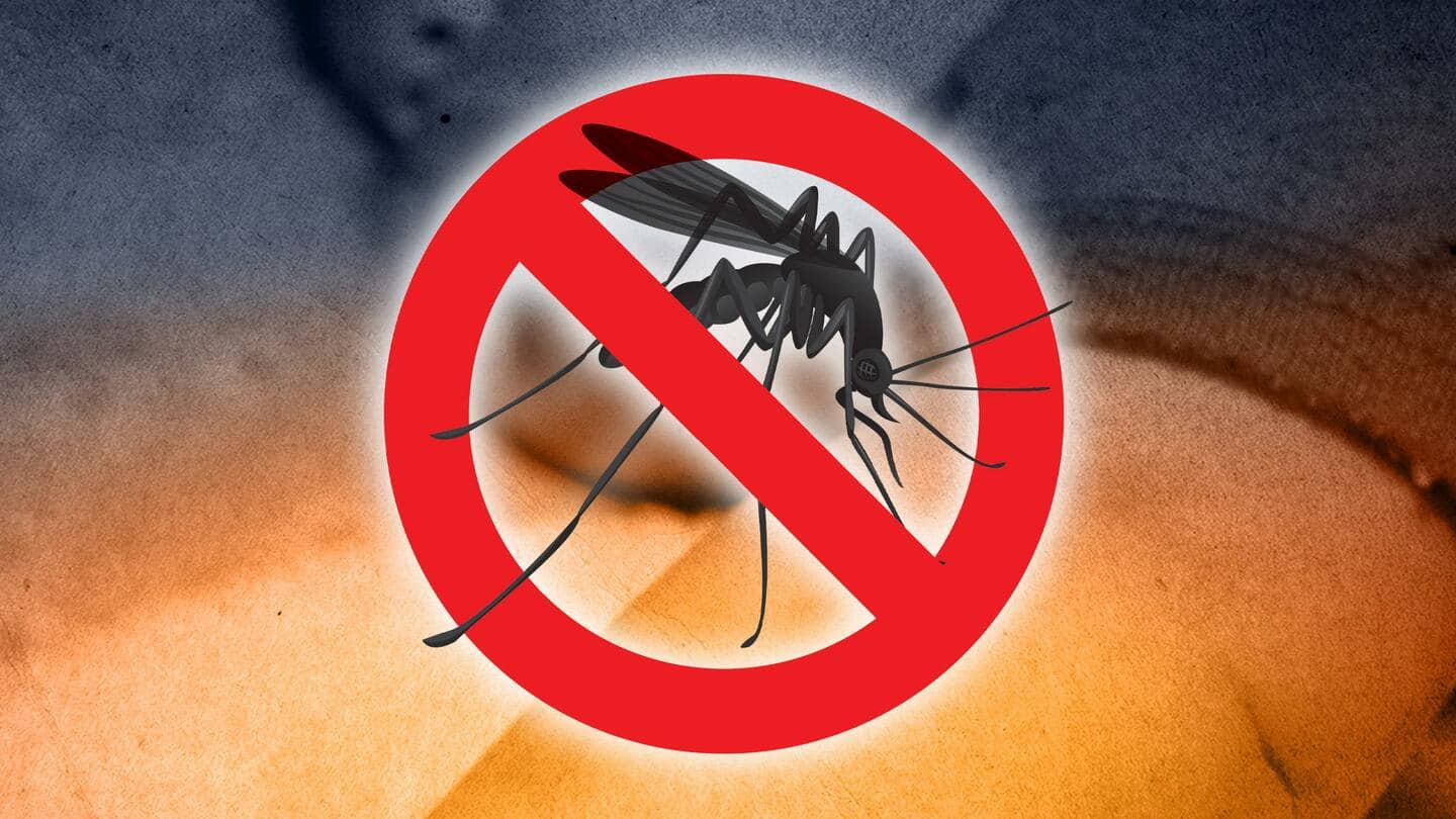 मच्छरों से बच्चों को सुरक्षित रखने के लिए करें ये 5 उपाय