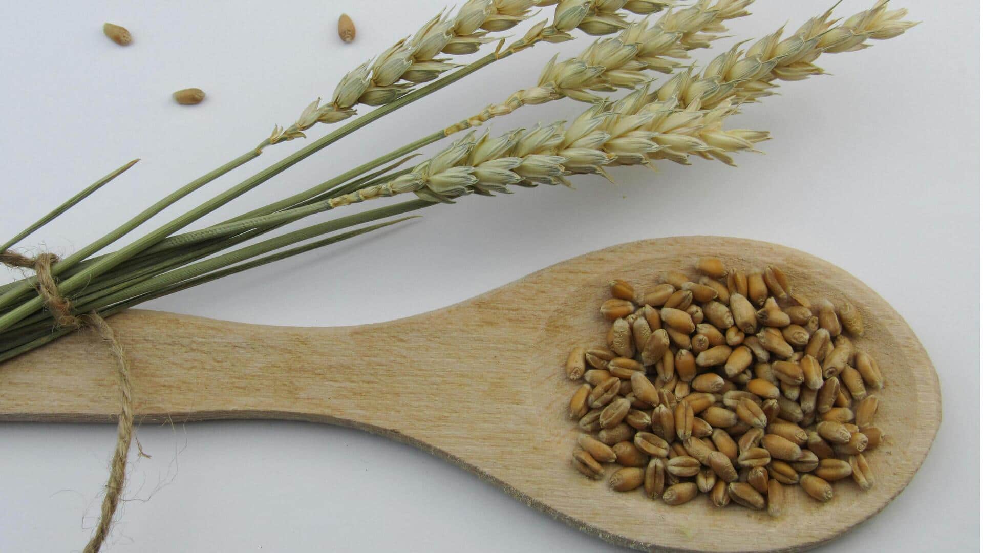 गेहूं को लेकर हैं ये 5 भ्रम? इनकी सच्चाई जानना आपके लिए होगा फायदेमंद