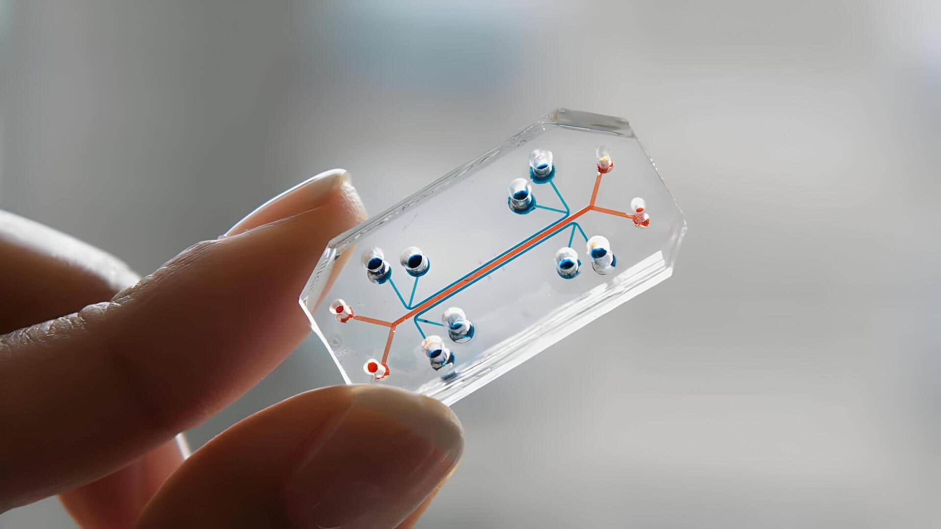 नासा ने आर्टेमिस II के अंतरिक्ष यात्रियों के साथ क्यों भेजे ऑर्गन चिप्स?