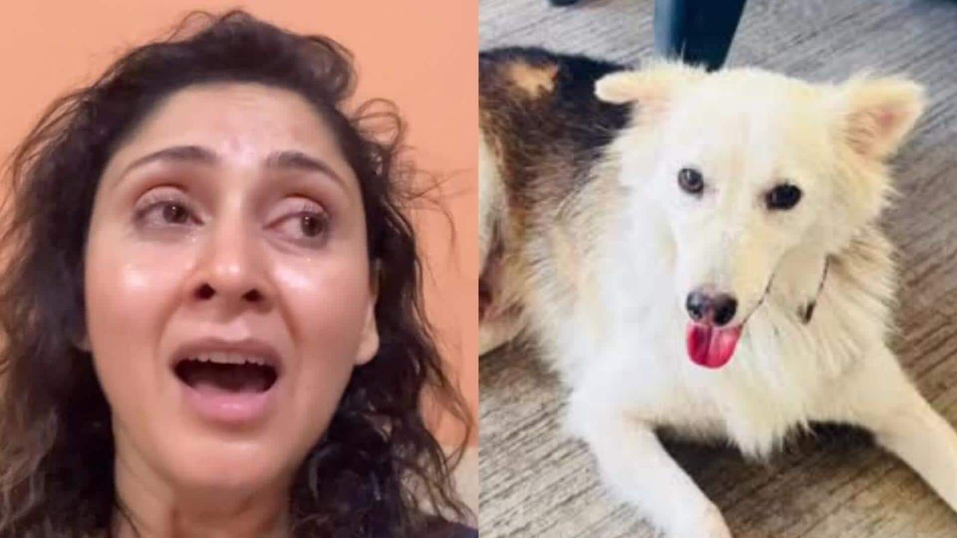मंजरी फडनीस फूट-फूटकर रोईं, बोलीं- हमारे माइकी की बेरहमी से हत्या कर दी