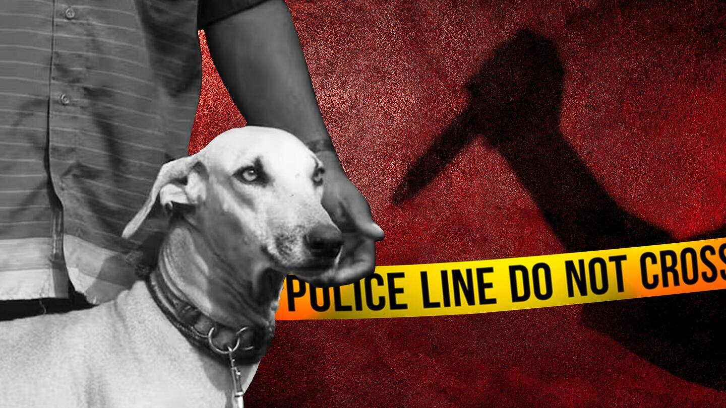 तमिलनाडु: पालतू कुत्ते को कहा 'कुत्ता' तो नाराज पड़ोसियों ने की शख्स की हत्या