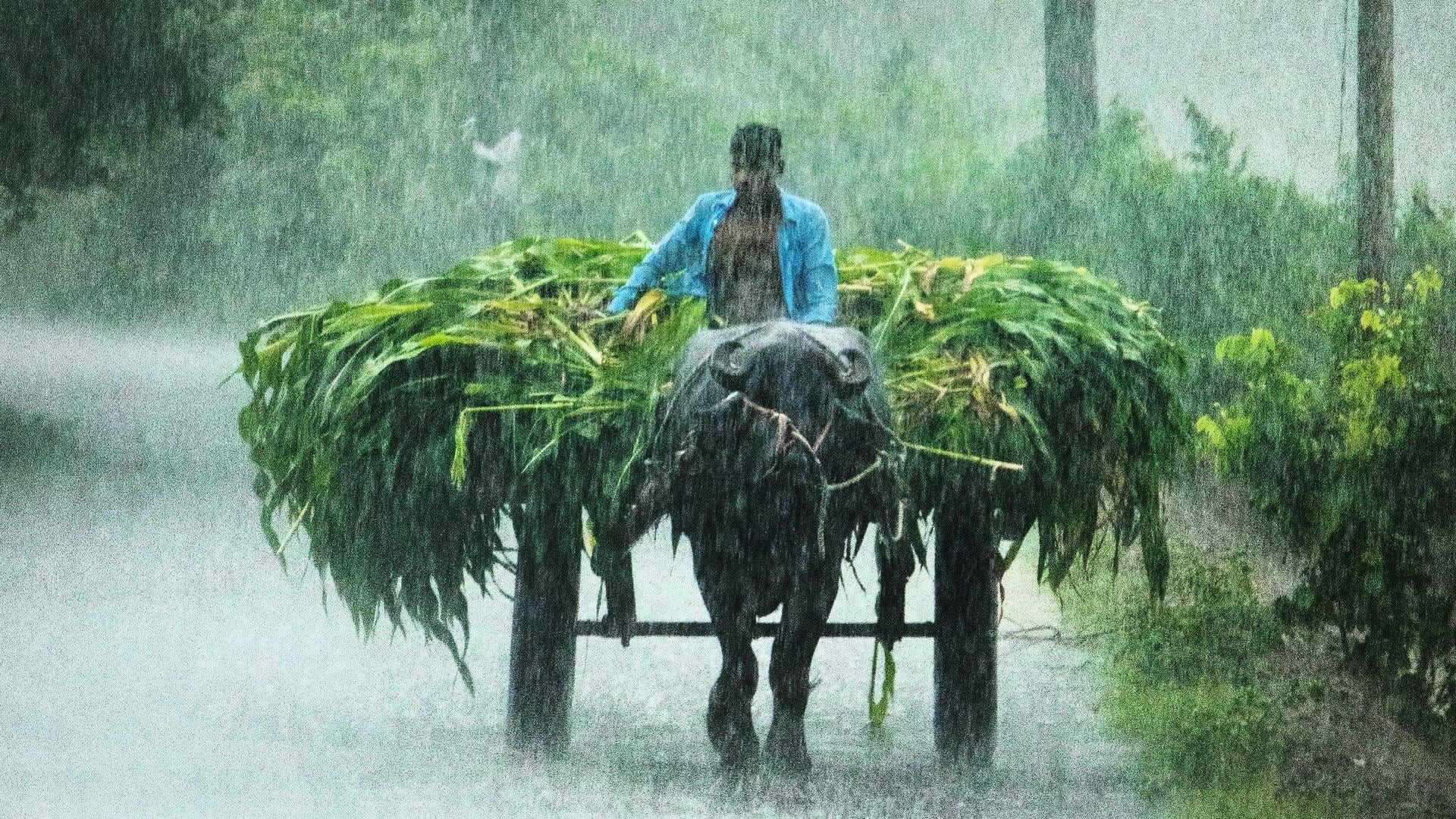 उत्तर प्रदेश में सोनभद्र के रास्ते मानसून का प्रवेश, बारिश का सिलसिला शुरू उत्तर प्रदेश में सोनभद्र के रास्ते मानसून का प्रवेश, बारिश का सिलसिला शुरू